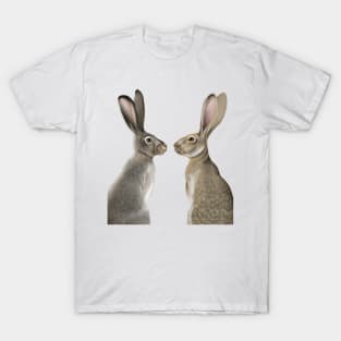 Jackrabbit T-Shirt